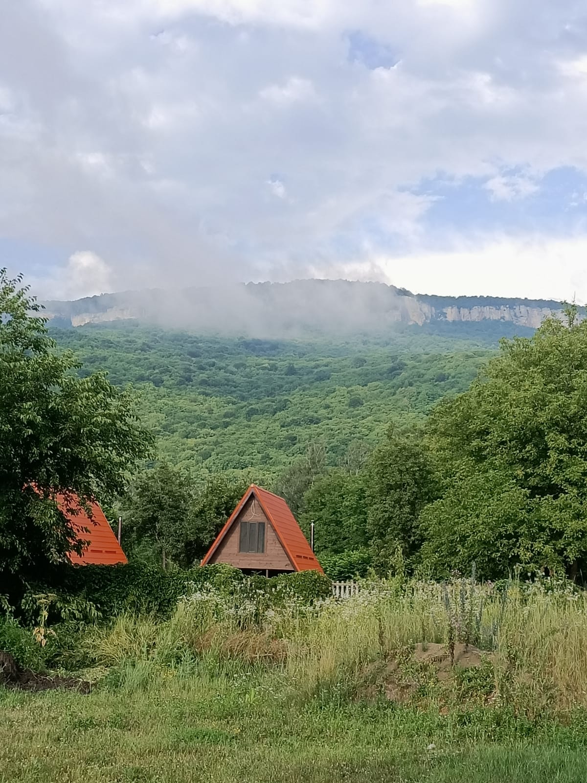 Фото Кордес