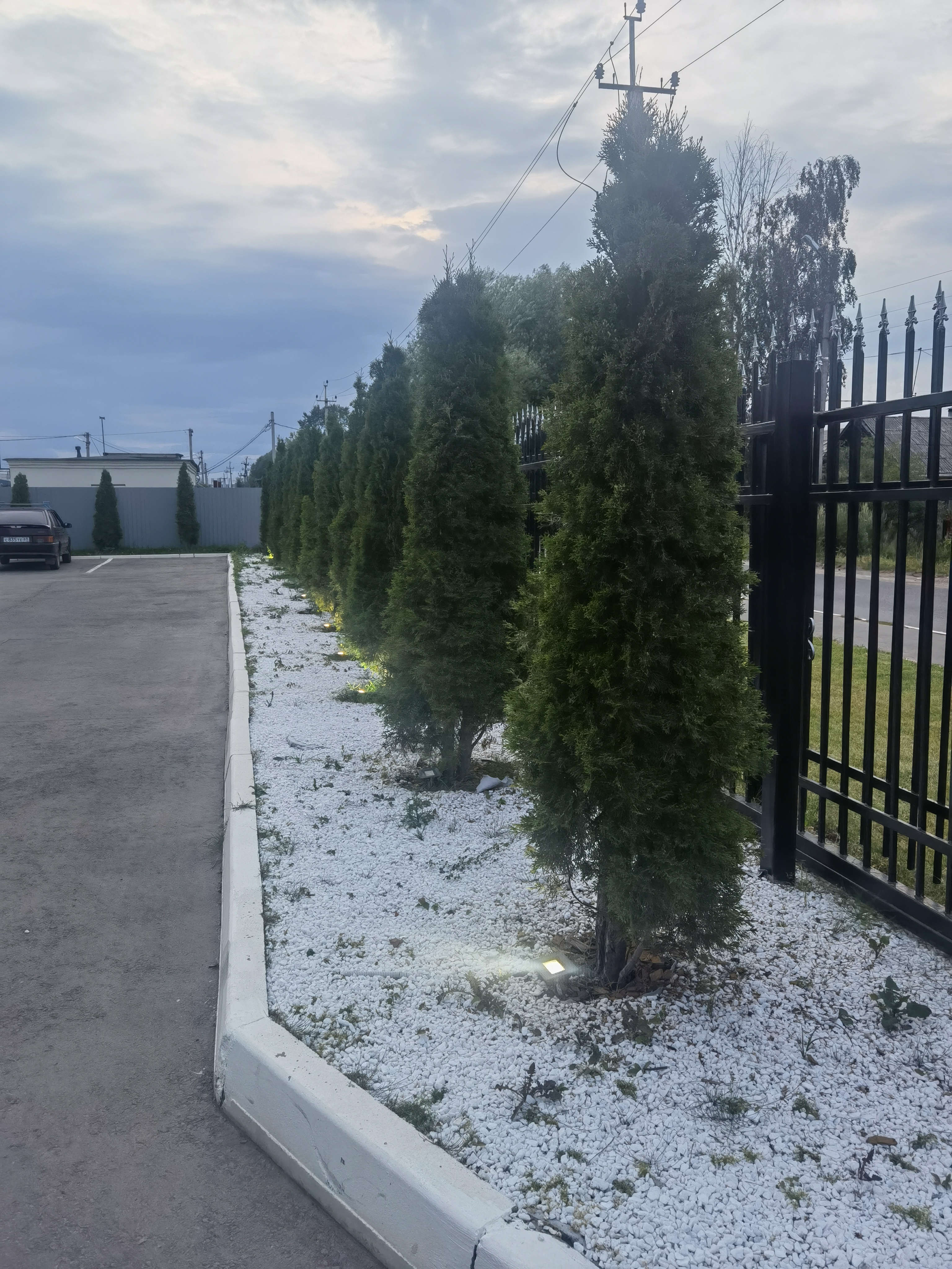 Фото Араз Палас