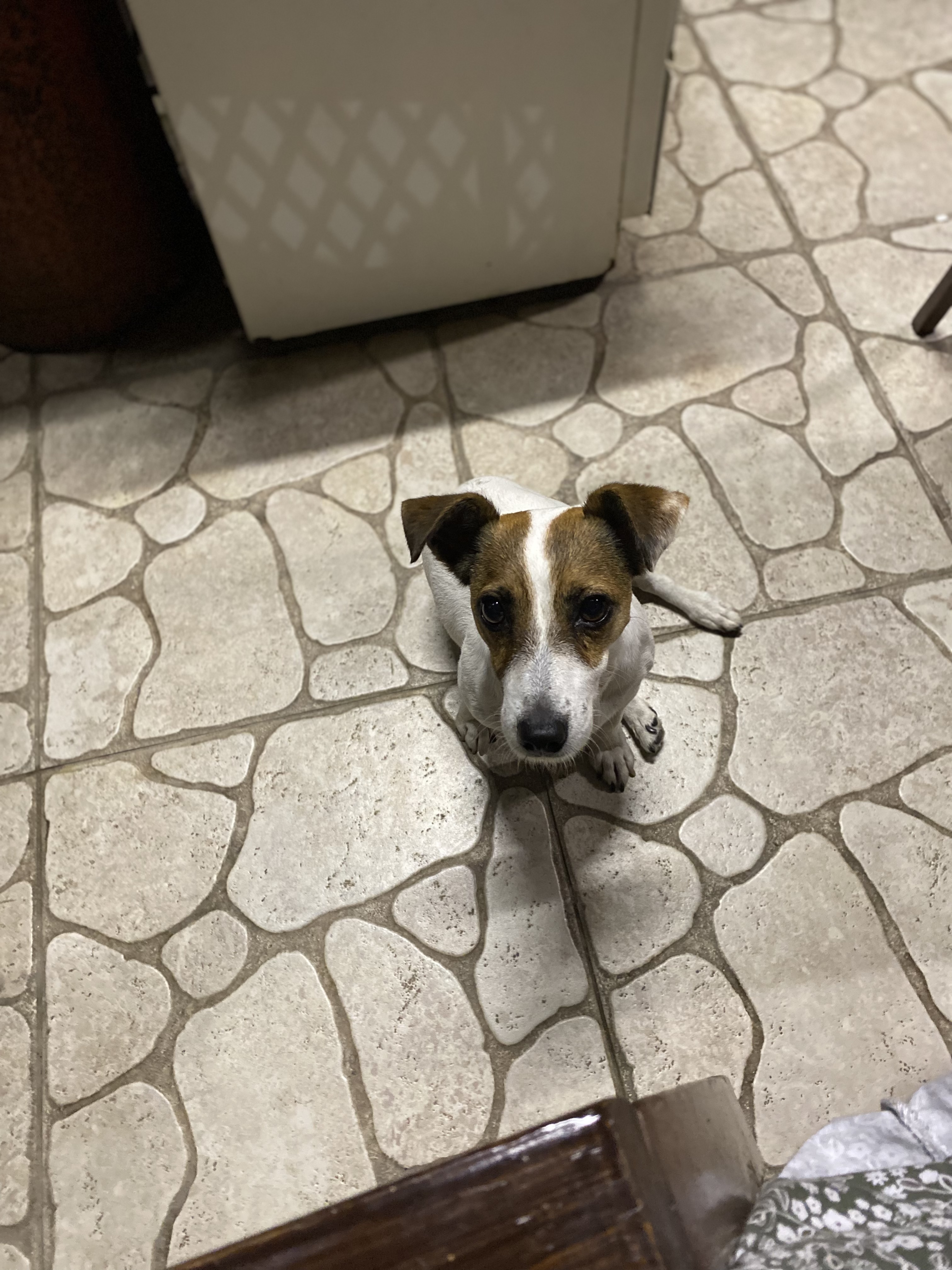 Фото Стефания