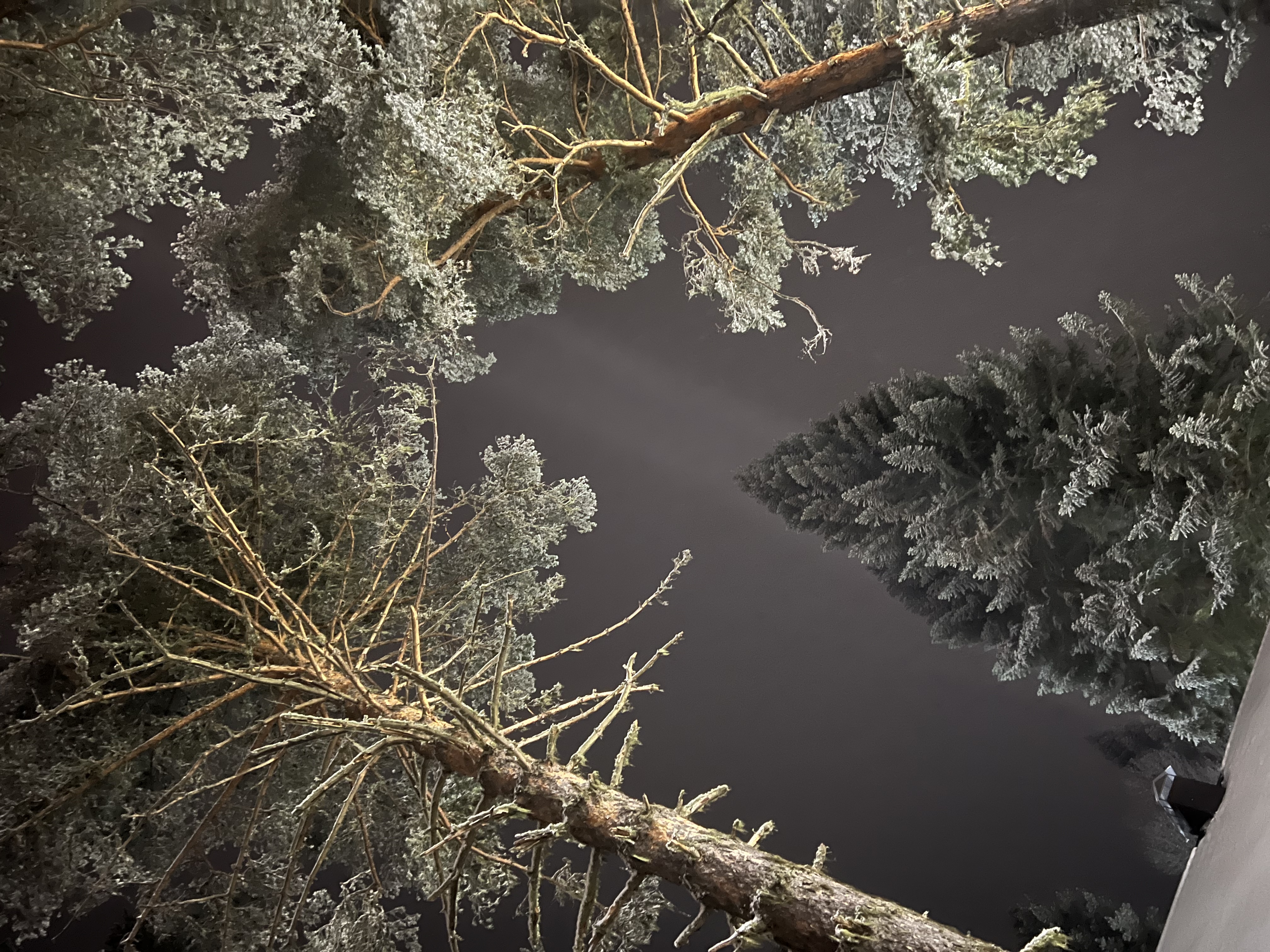 Фото Mount Arkhyz