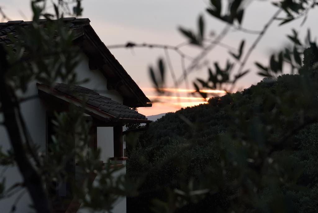 Фото Agriturismo La Casuccia