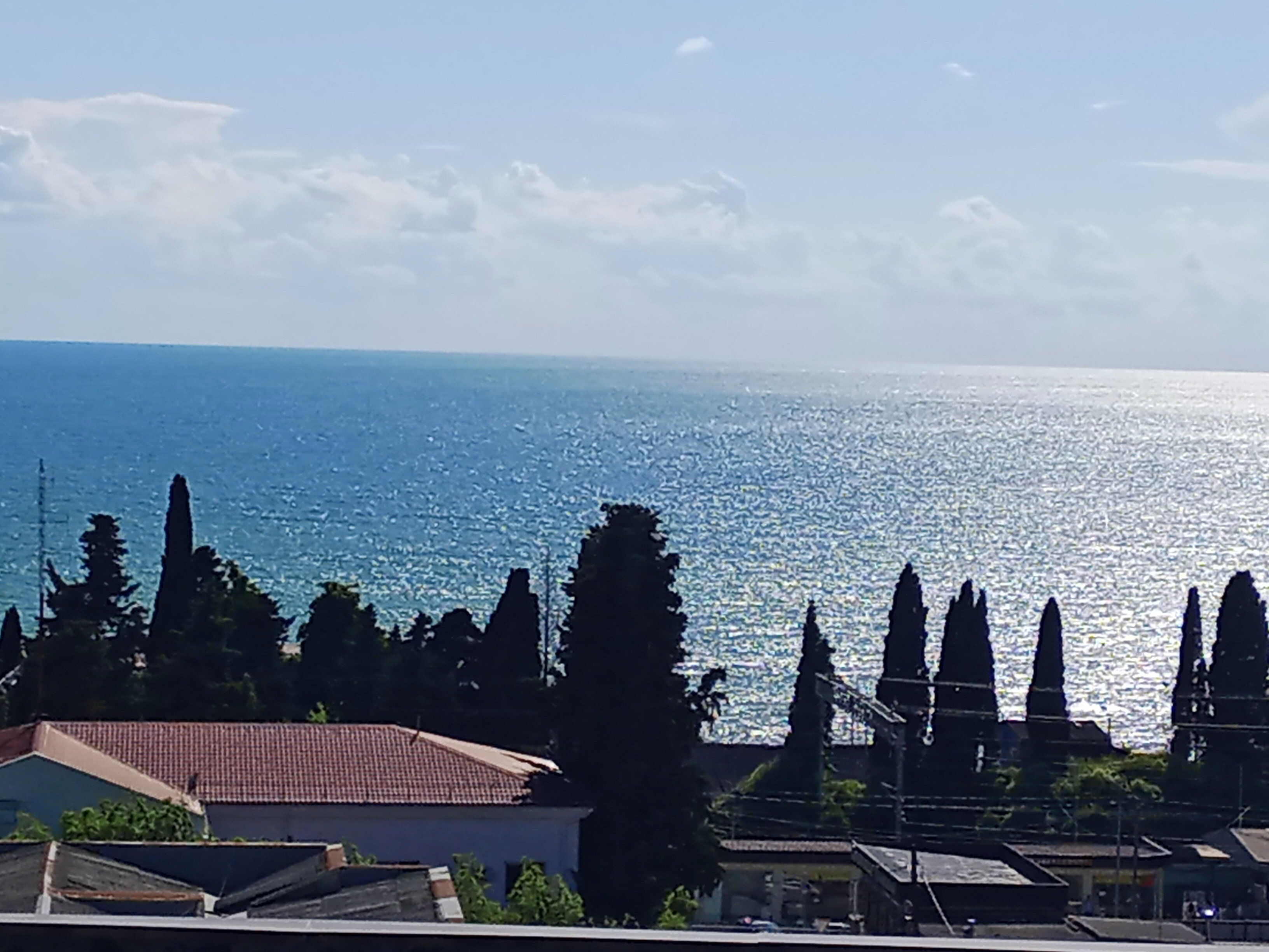 Фото Ягодка