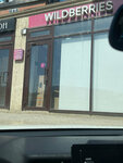 Wildberries (Makhachkala, Kazbekov Avenue, 163), point of delivery