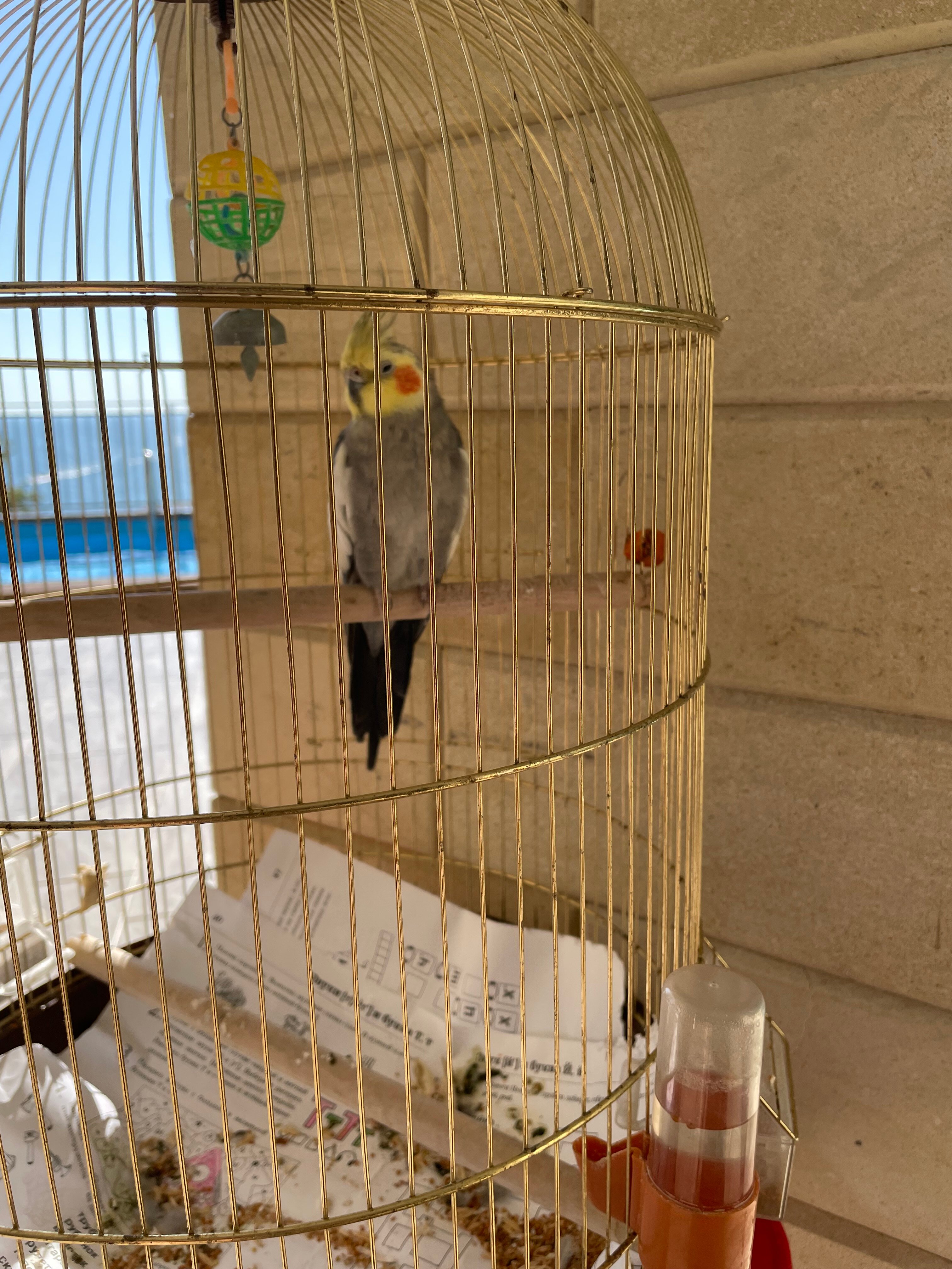 Фото Villa Terrasa