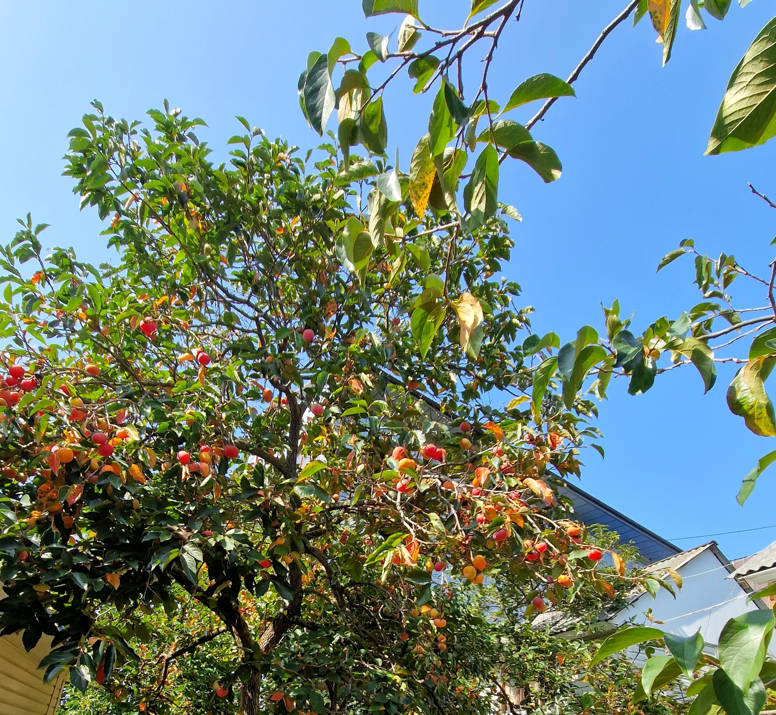 Фото Горный Эдем