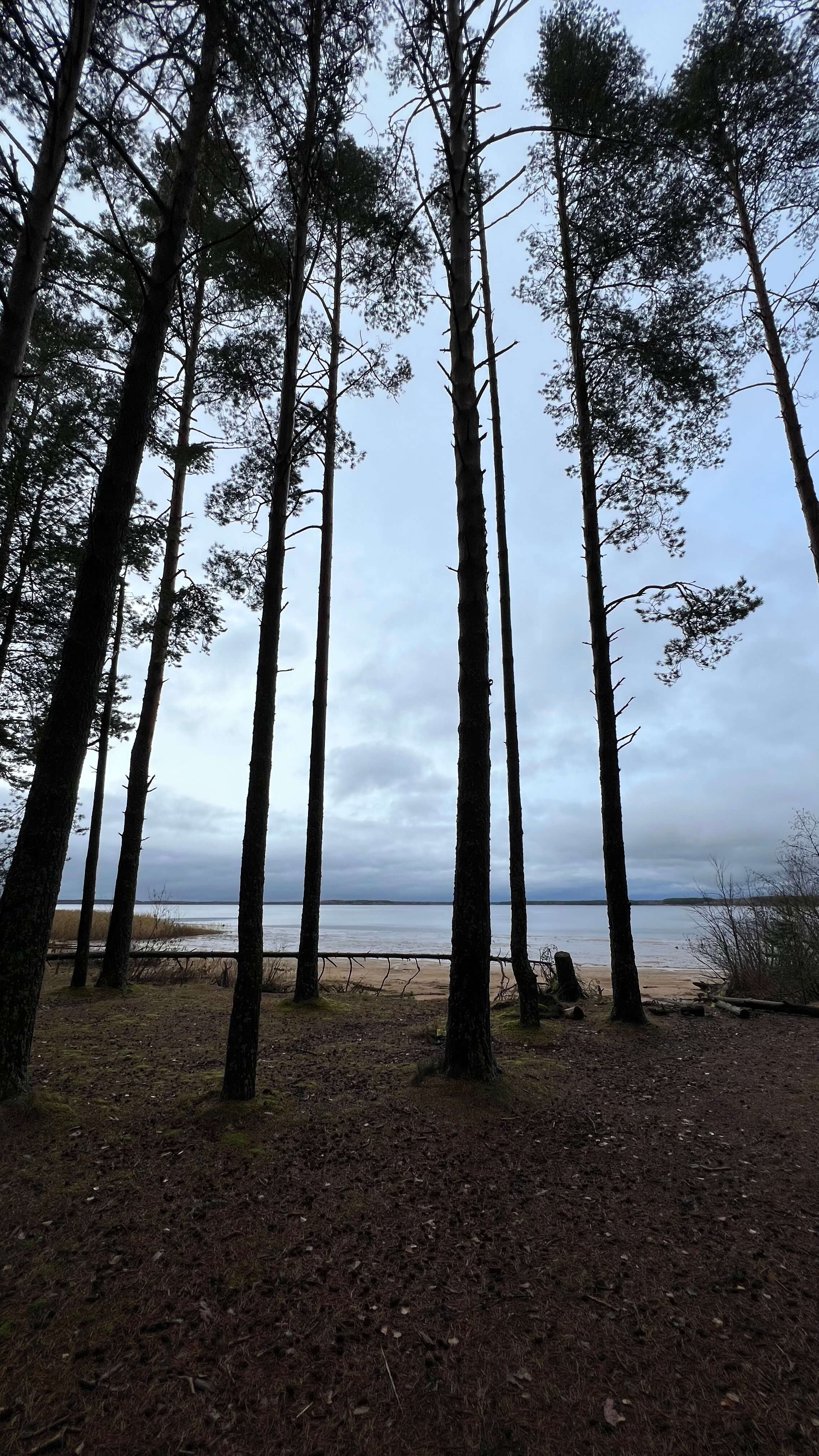 Фото Дом на Рыбинке