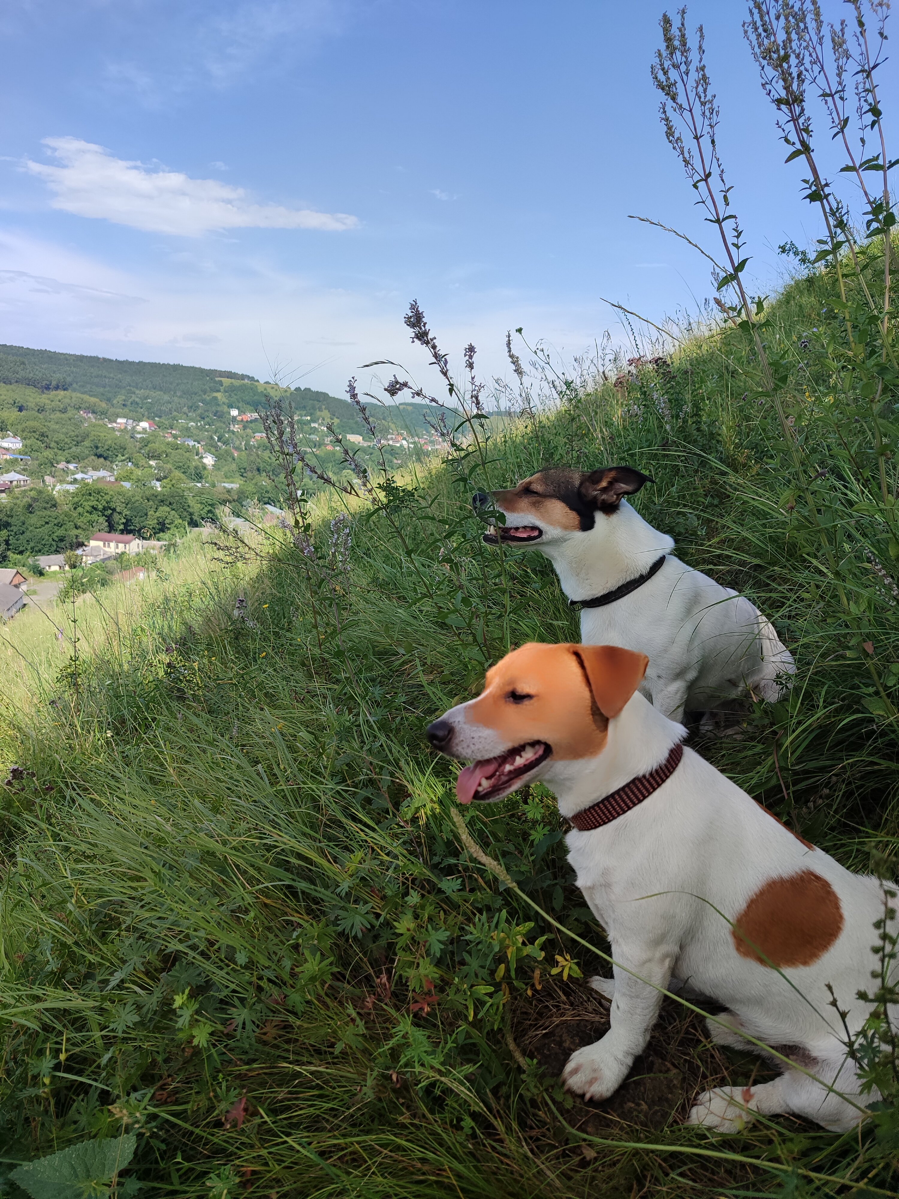 Фото Нарзан Вест