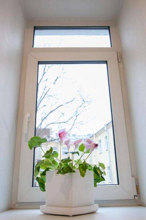 Фото Instahostel