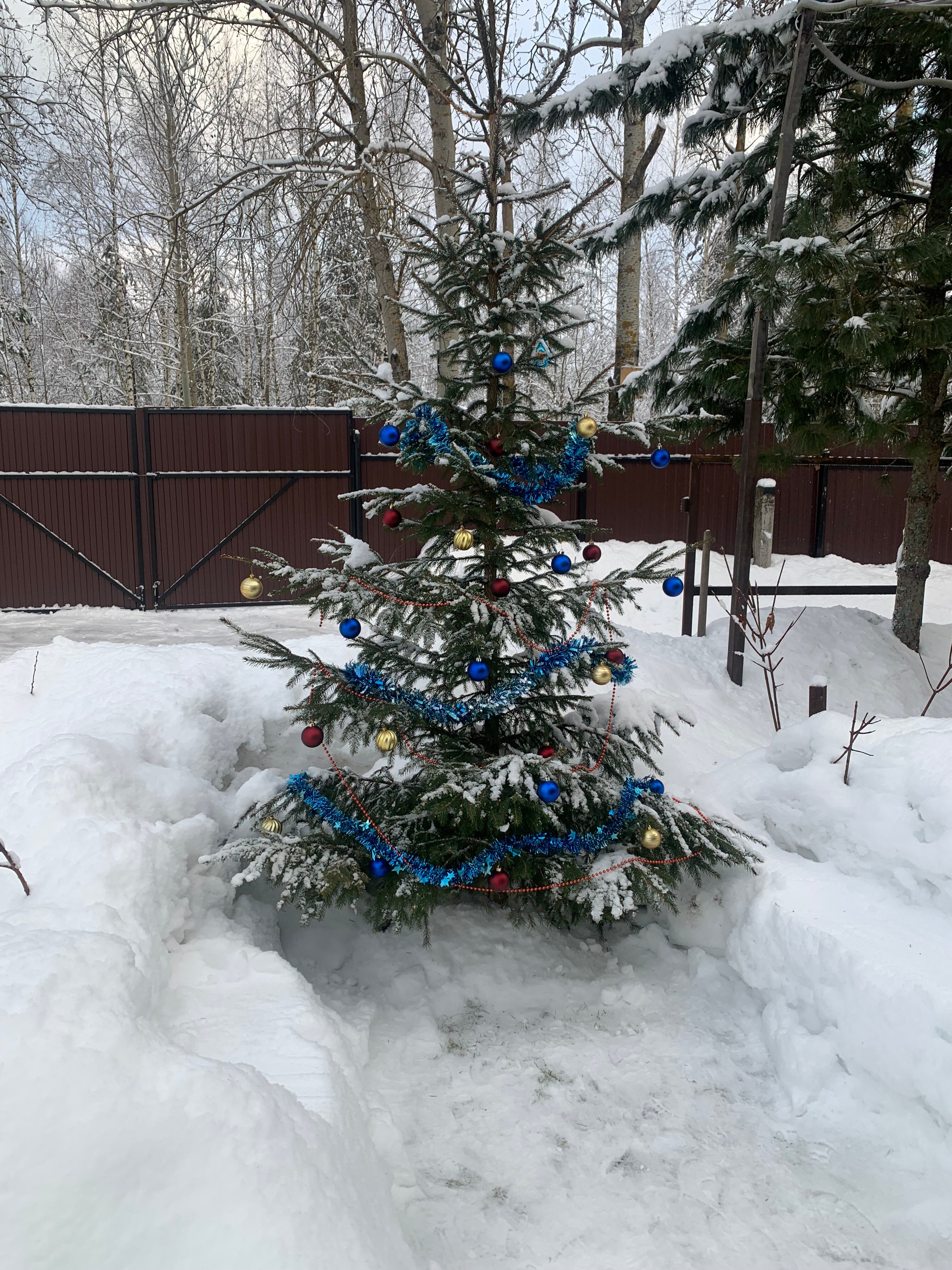 Фото Дом в Бородино