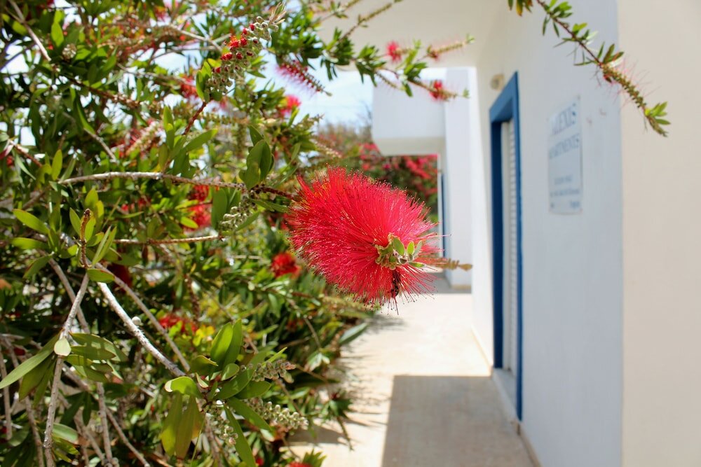 Фото Alexis Apartments