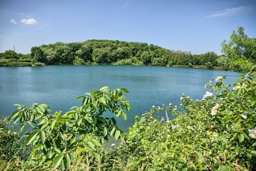 Фото Dresdner-Tag Rosenherz