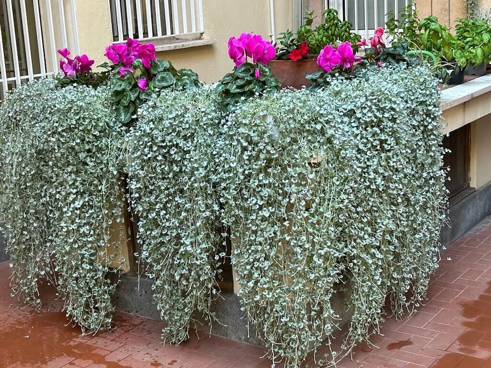 Фото Villa Angeli - Casa per Ferie