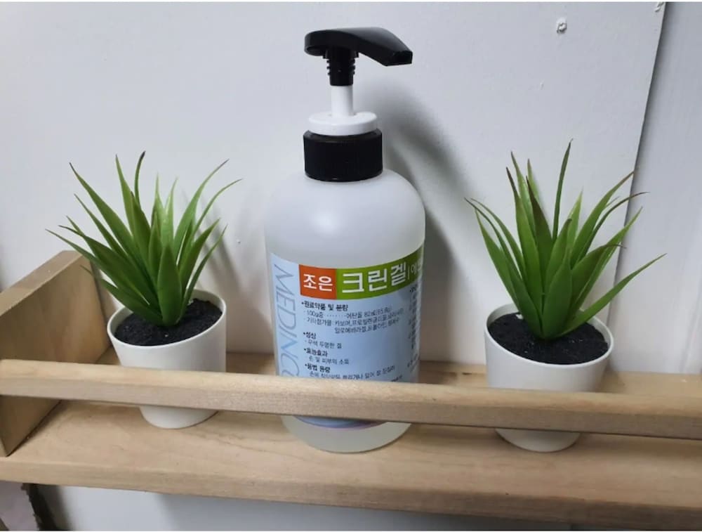 Фото Chagall House