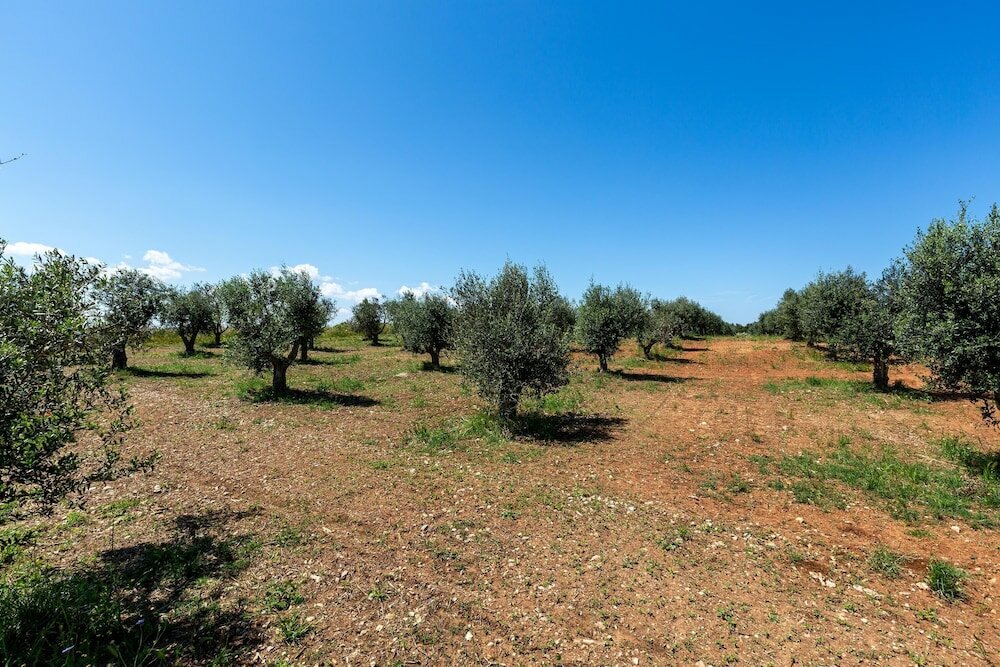 Фото 3422 Sikalindee - Casette Pt by Barbarhouse