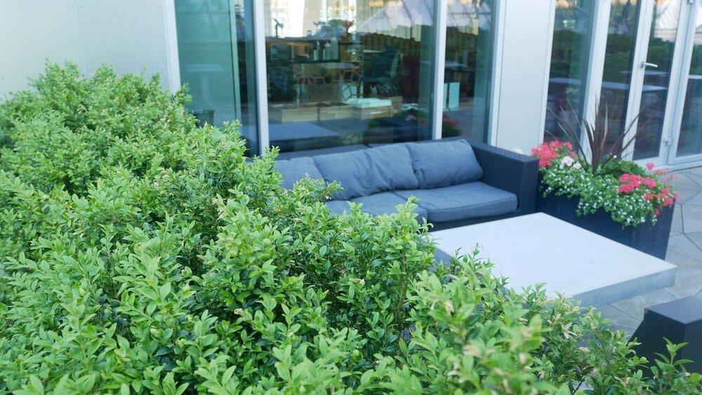 Фото Tivoli Hotel