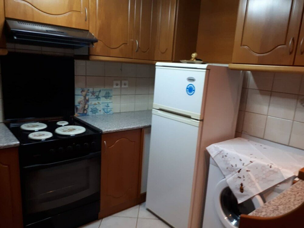 Фото Antonia House