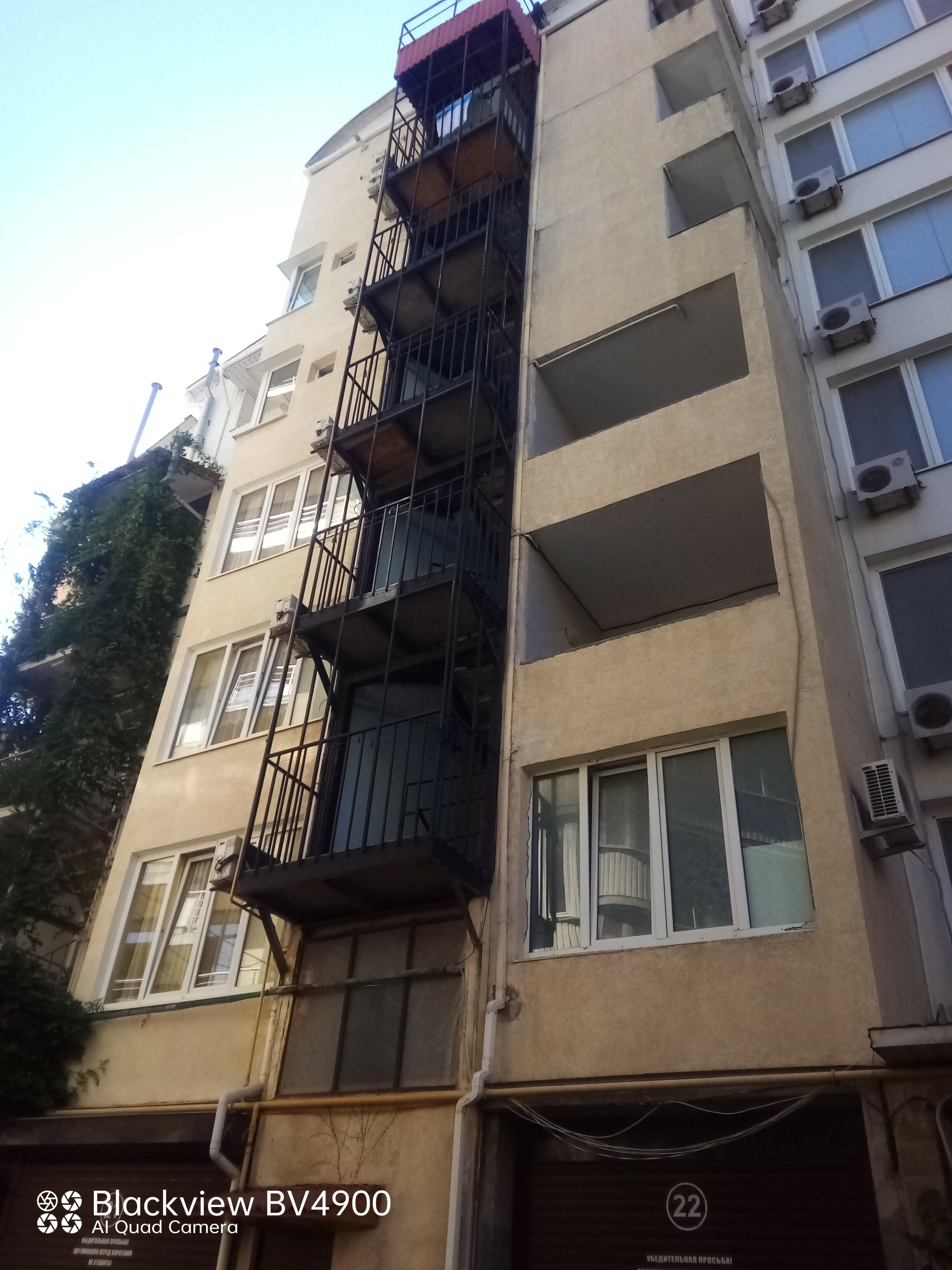 Фото Жемчужина