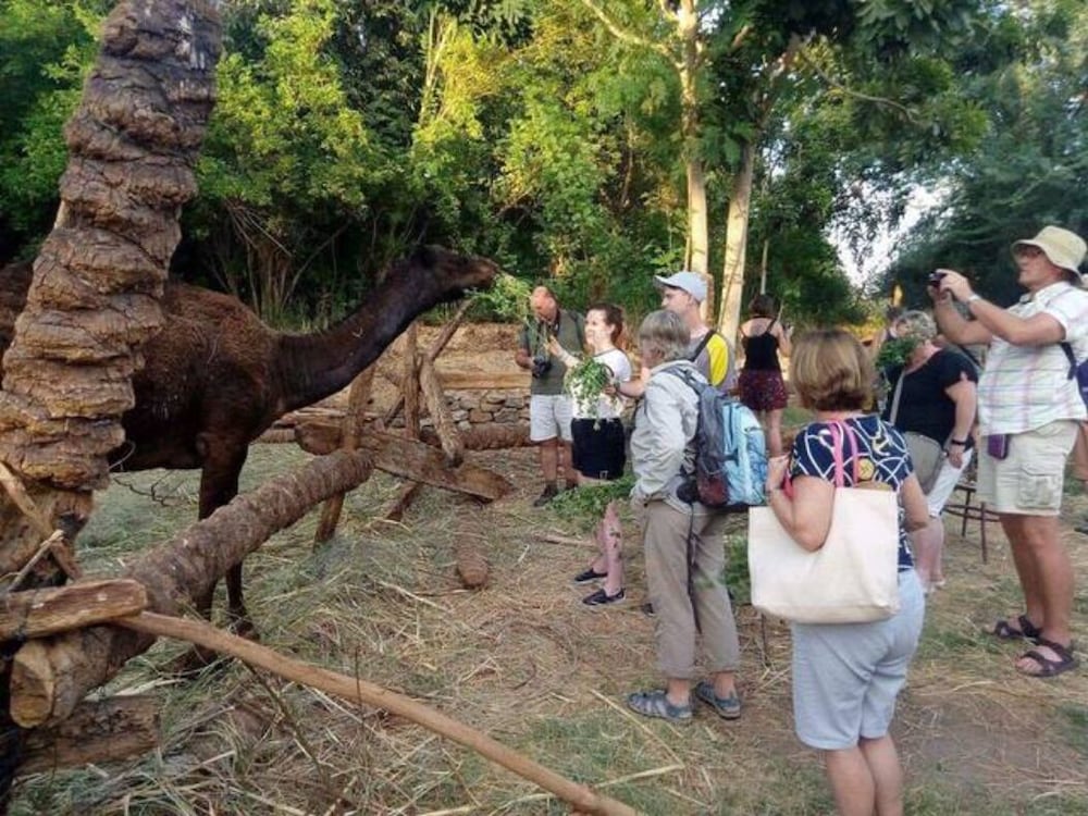 Фото Nubian Farm
