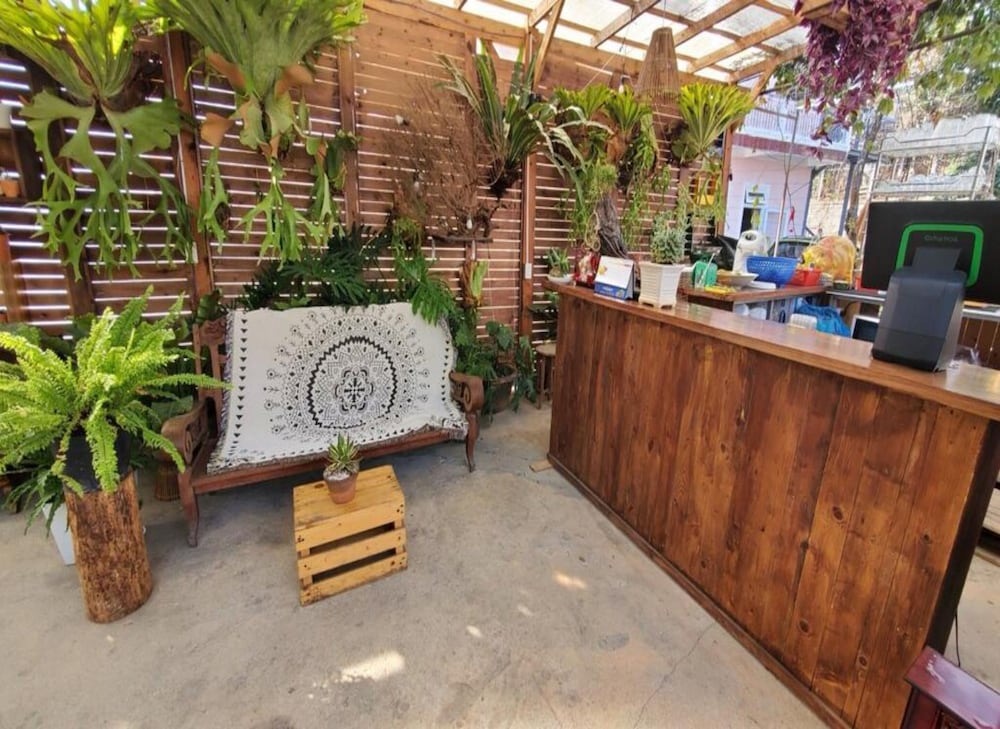 Фото Tropical Garden Homestay - Hostel