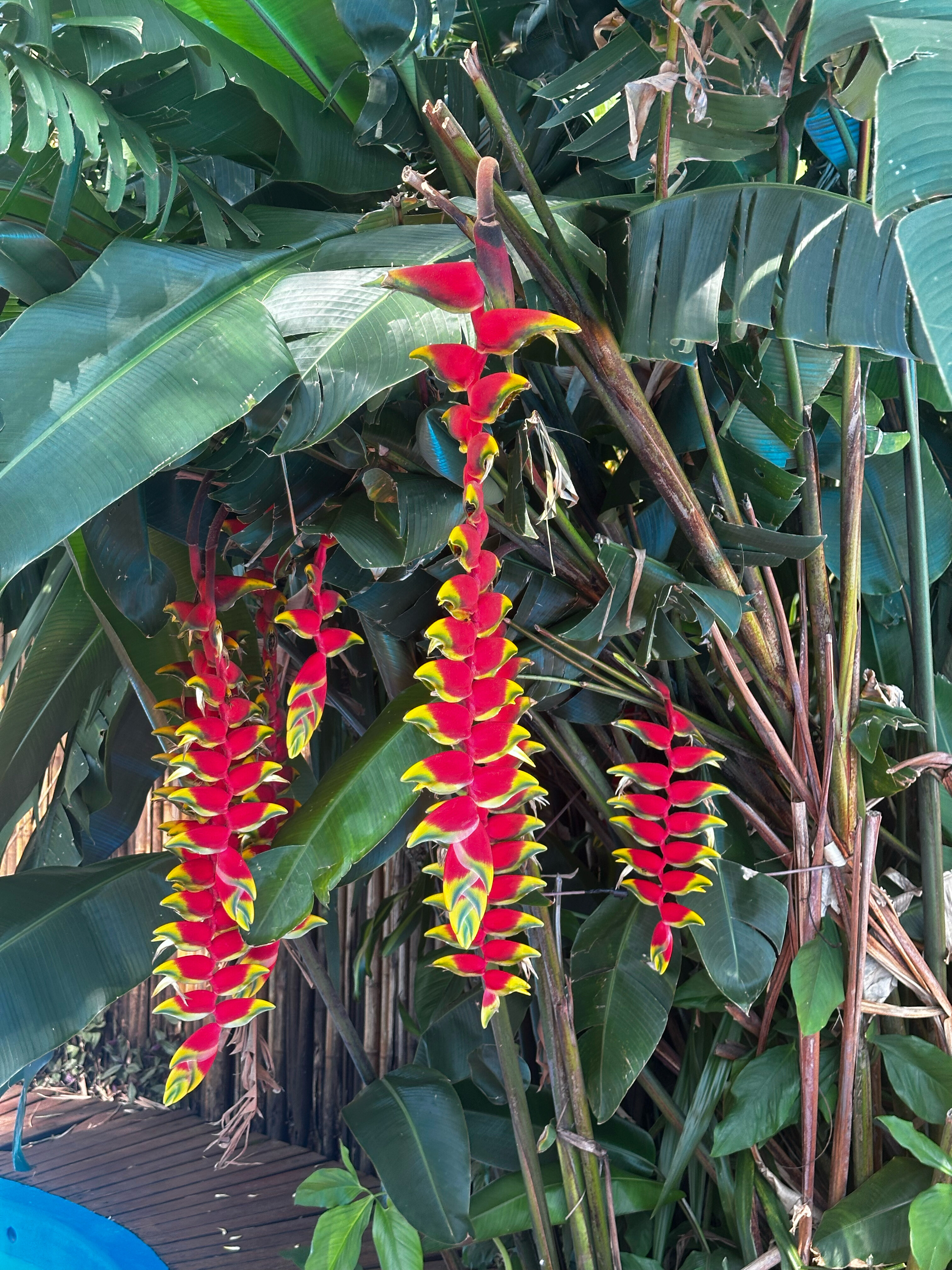 Фото Hotel Saint George