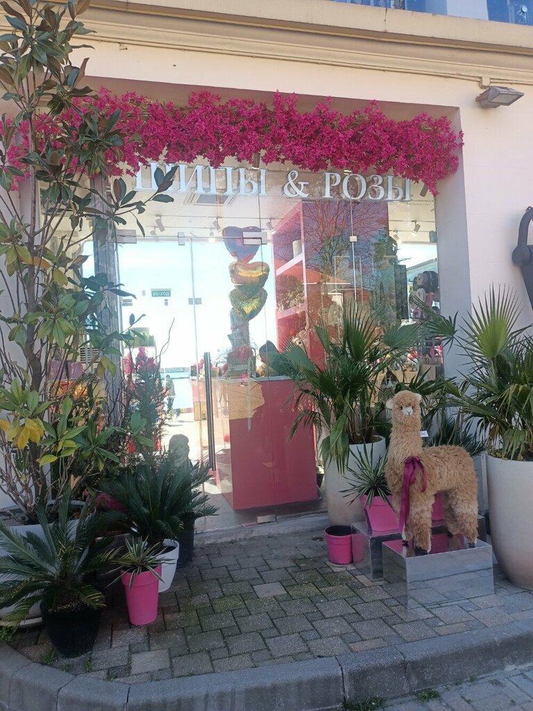 Доставка цветов и букетов Шипы & Розы, Сочи, фото