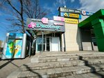 Диантус (Туркестанская ул., 2), магазин цветов в Оренбурге
