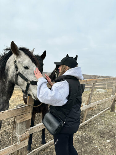 At ve binicilik kulüpleri Всадник, Stavropol, foto