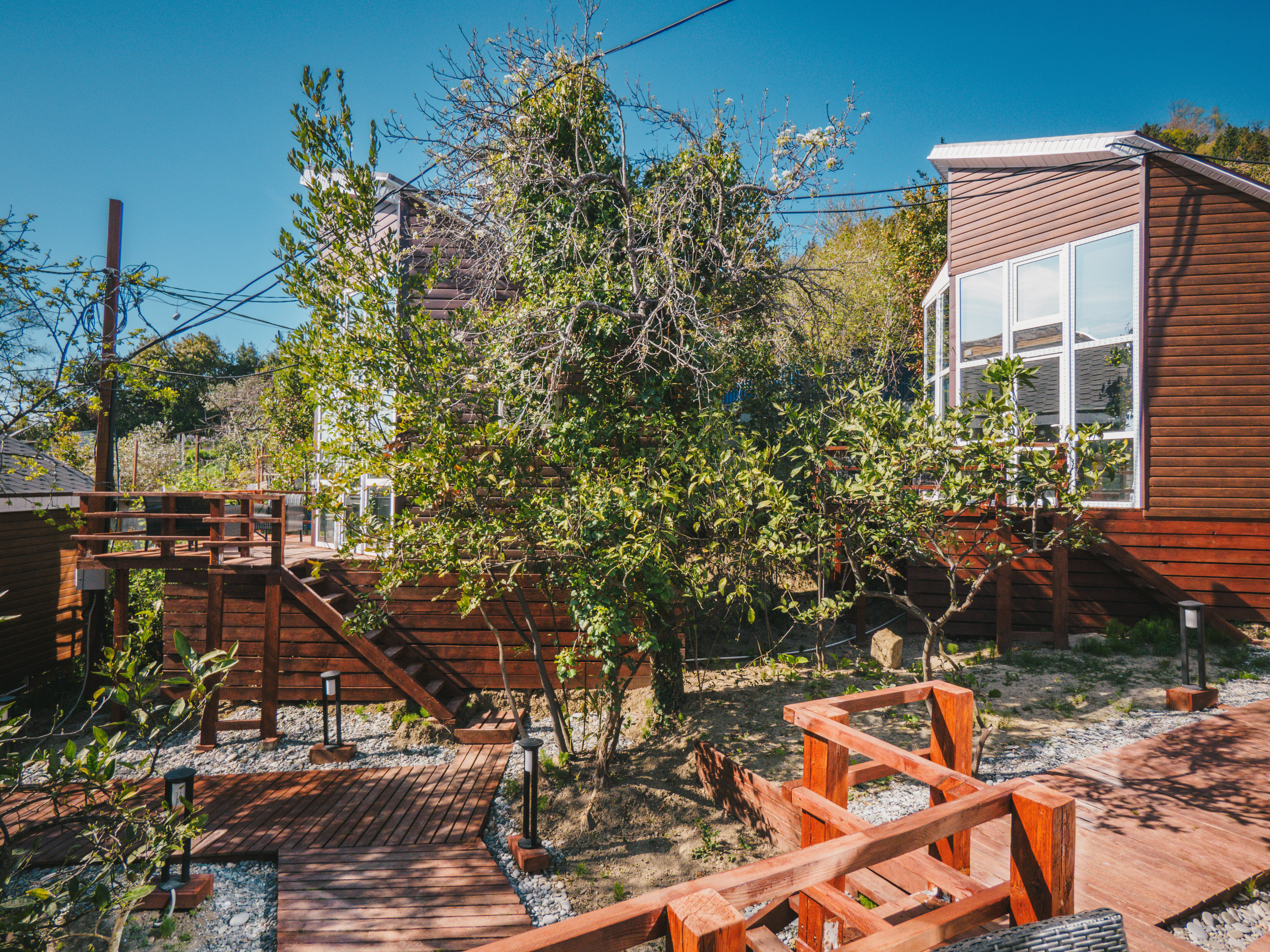 Фото Сочинский берег