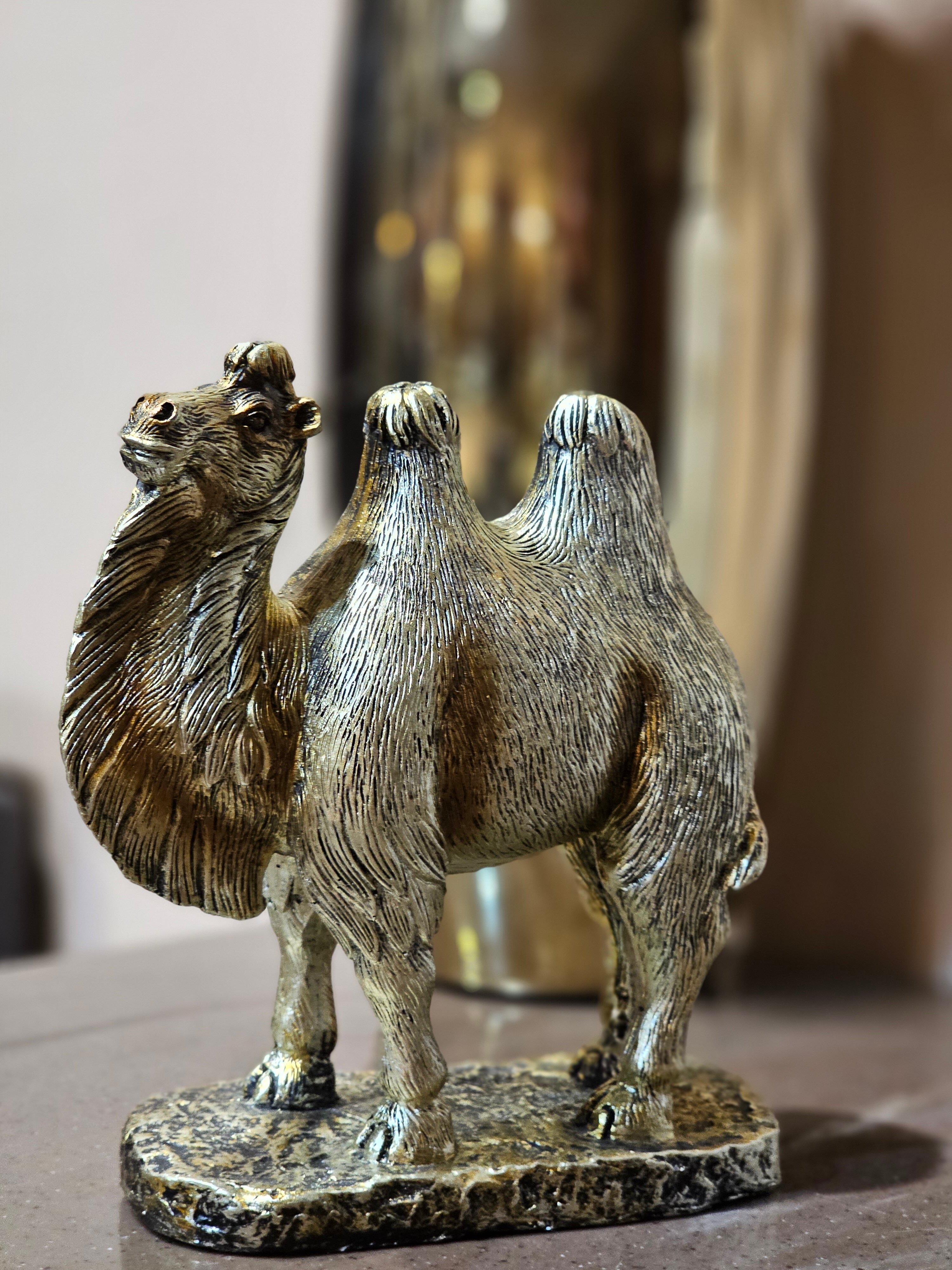 Фото Марко Поло