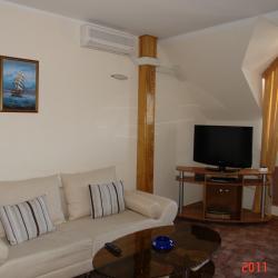 Фото Паллада