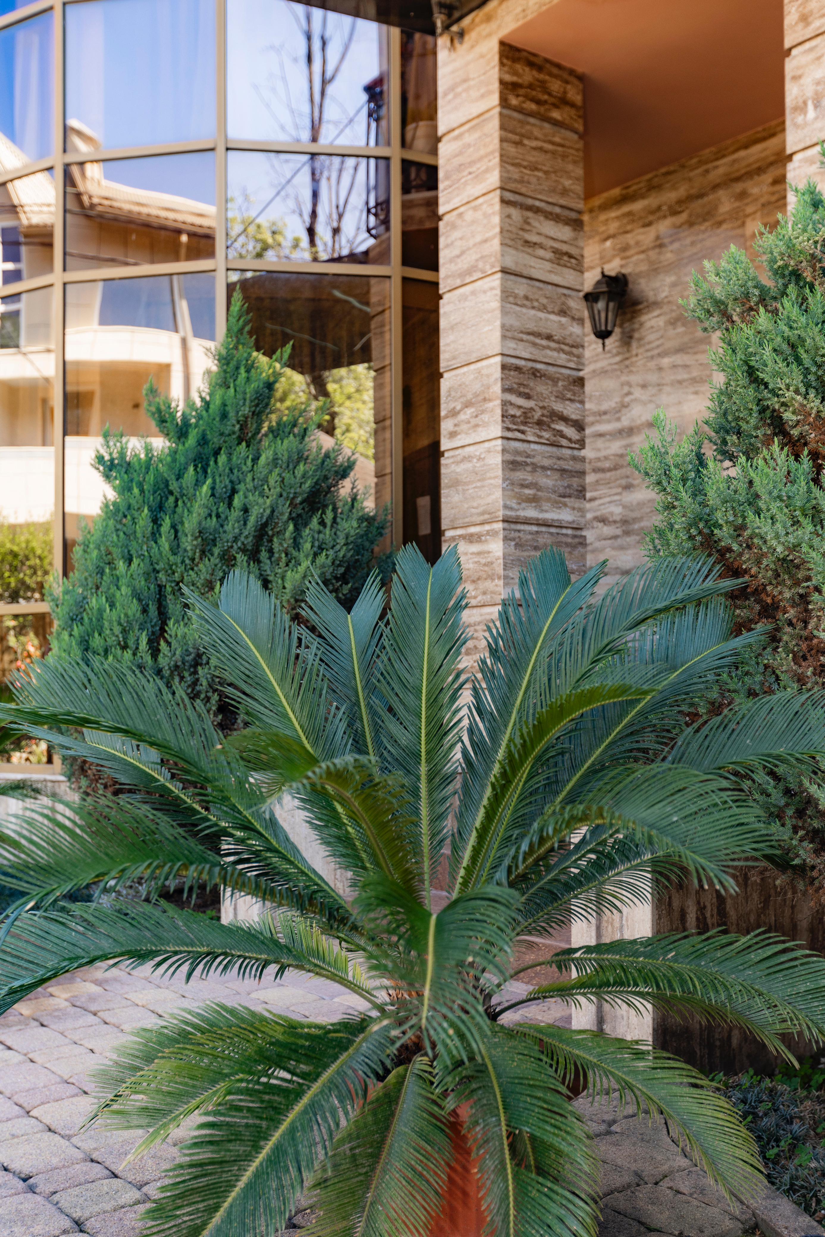 Фото Сан Марко