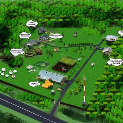 Фото Дом на Лесной Опушке