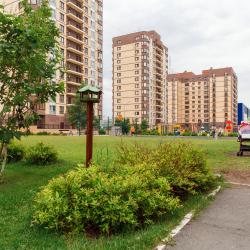 Фото Даудель