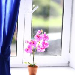 Фото Северный ветер