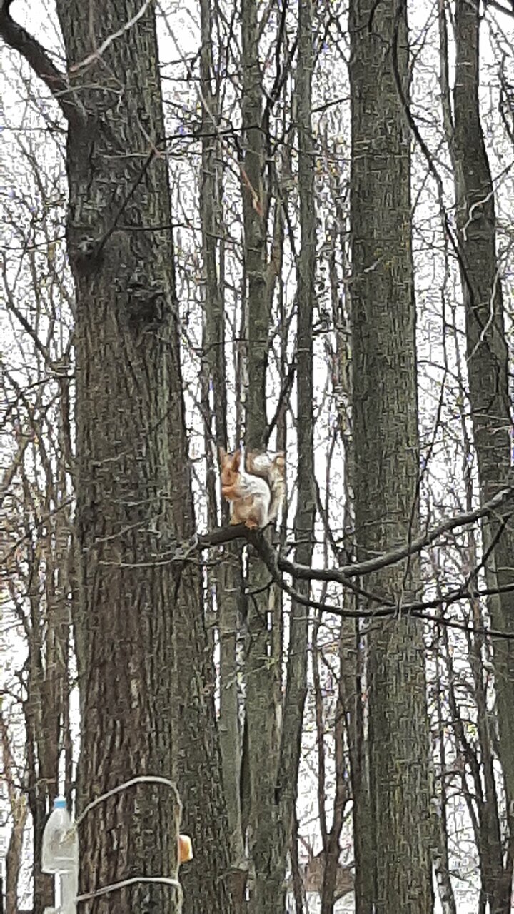 Парк Нефтяников и Газовиков