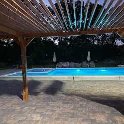 Фото Кипарис