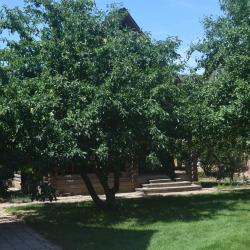 Фото Усадьба Никольское