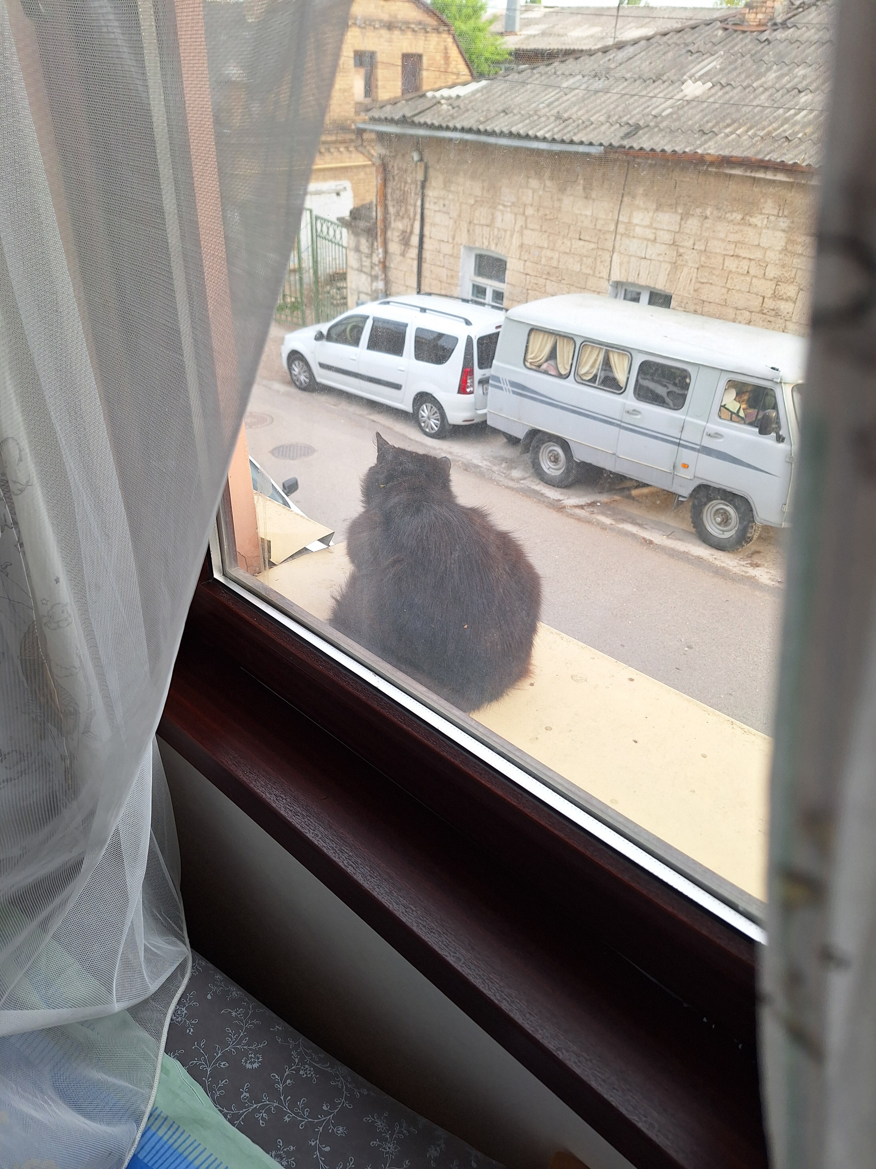 Фото ГородЪ