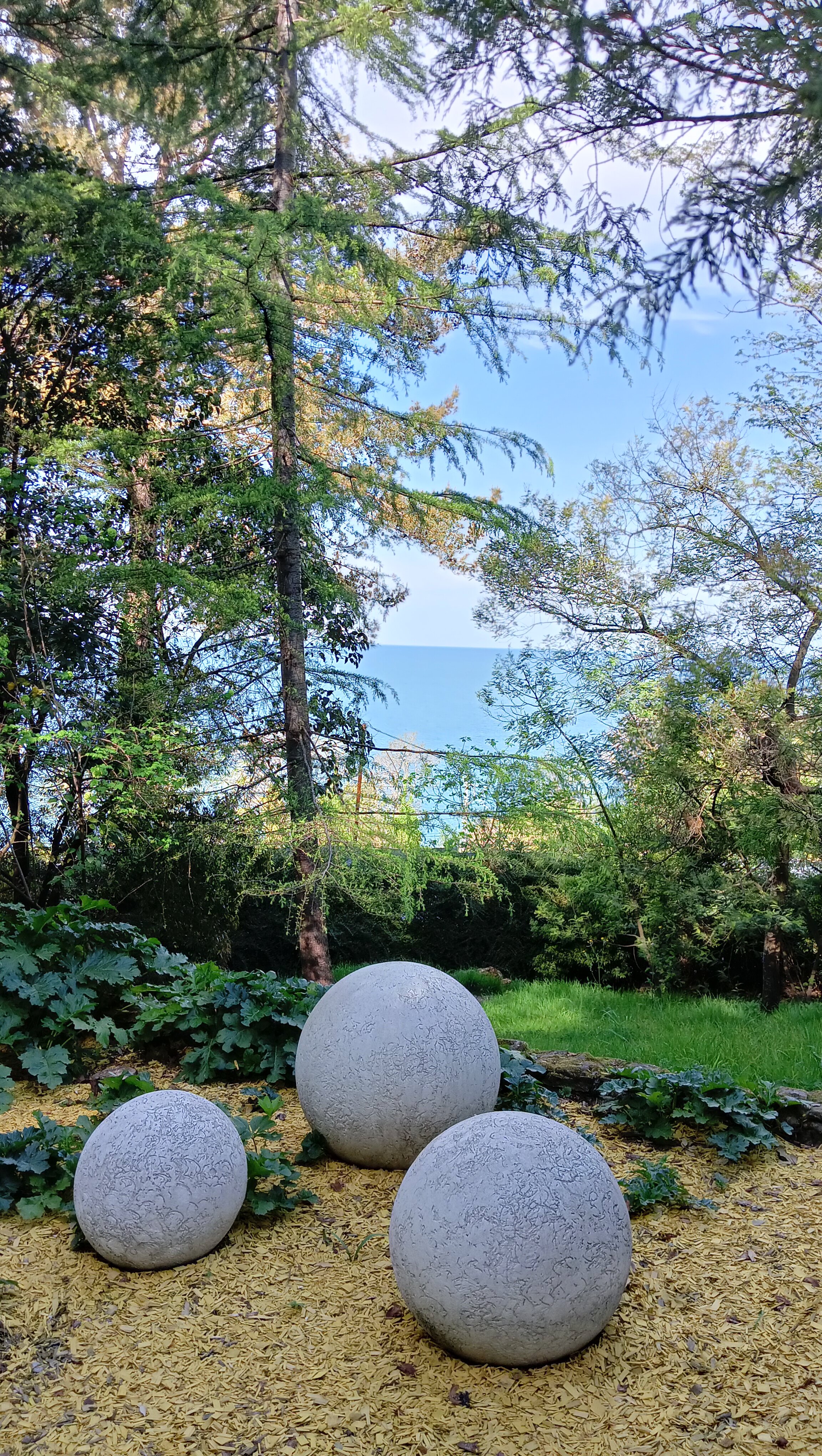 Фото Azimut Здоровье Ивушка