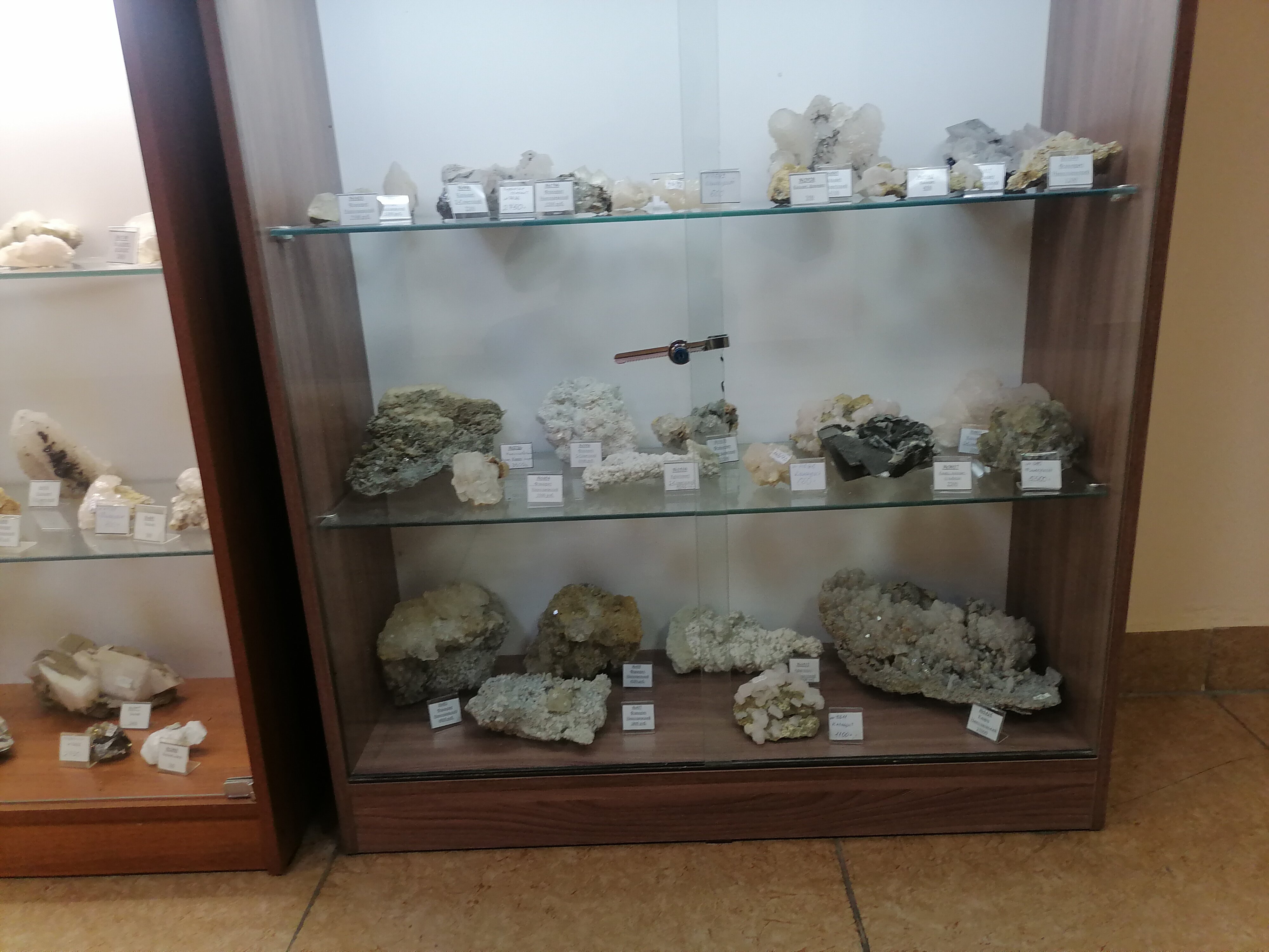 Фото Business Hotel