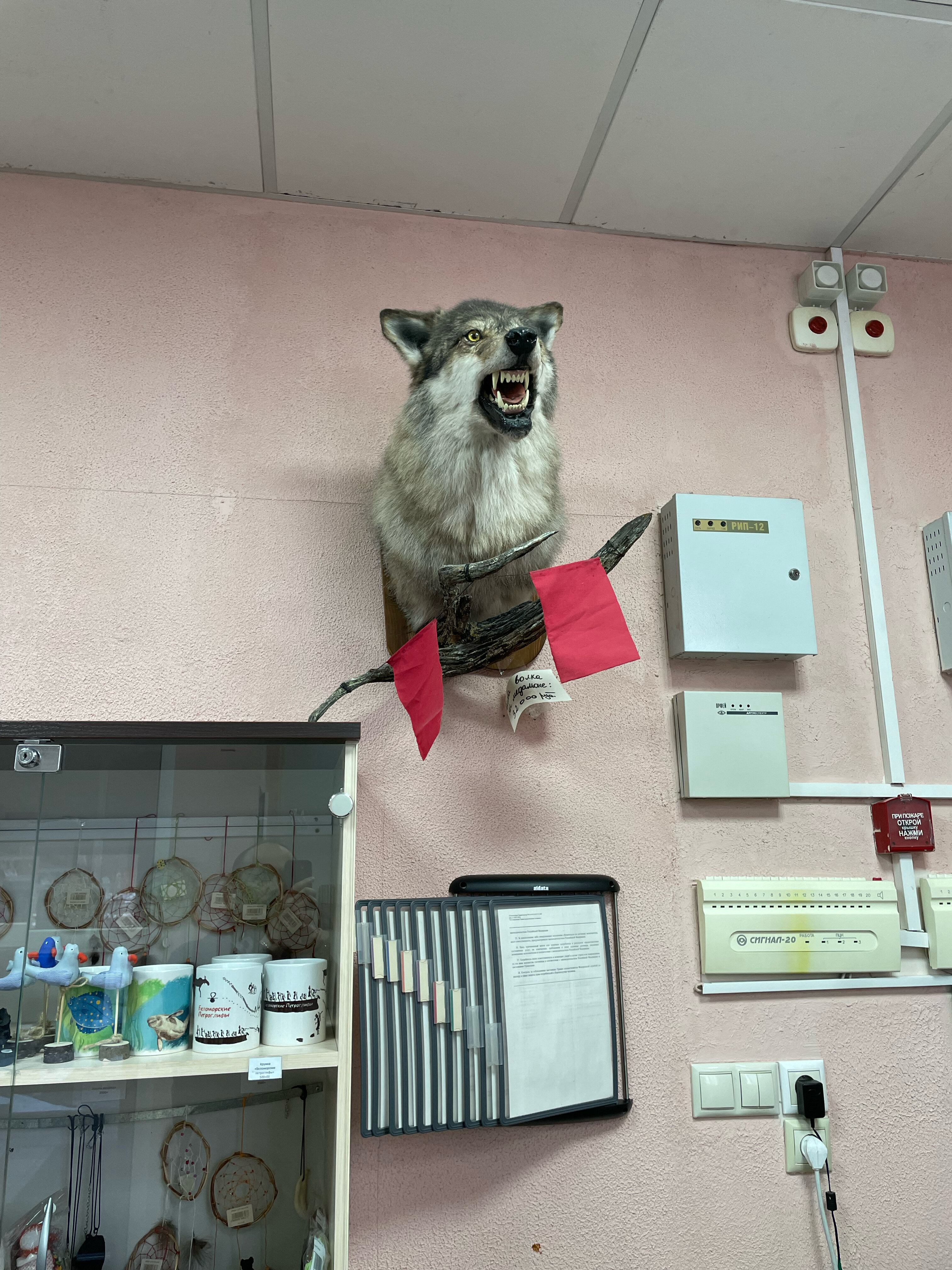 Фото Мотель Пушной