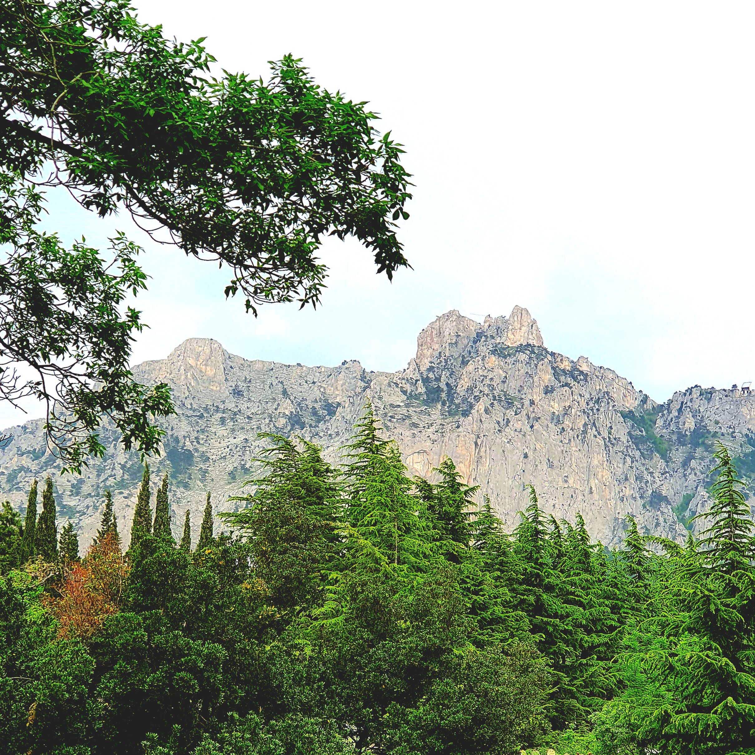 Фото Белоруссия