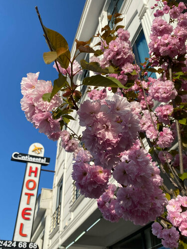 Внешний вид отеля Meshk Airport hotel в Арнавуткёйе, фото 4