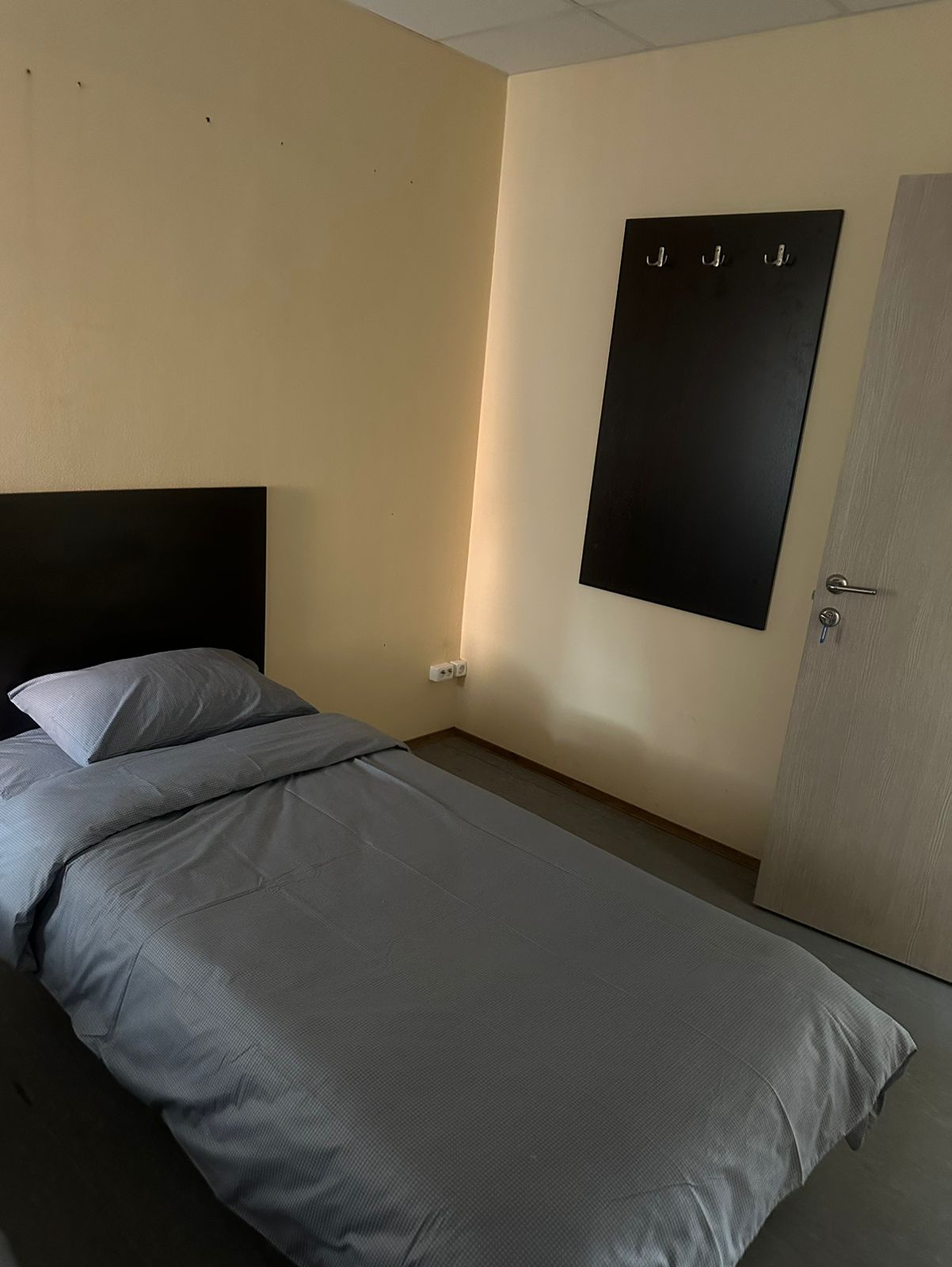 Фото Пилигрим