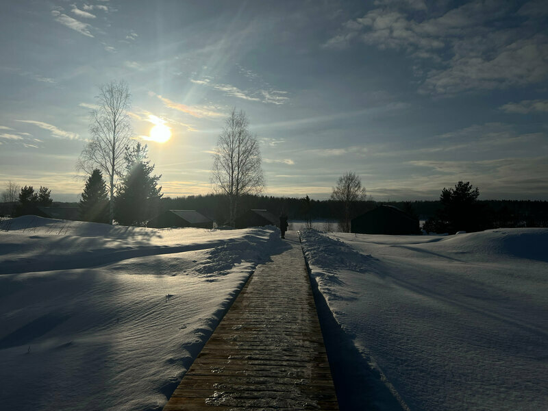 Фото Лунный свет