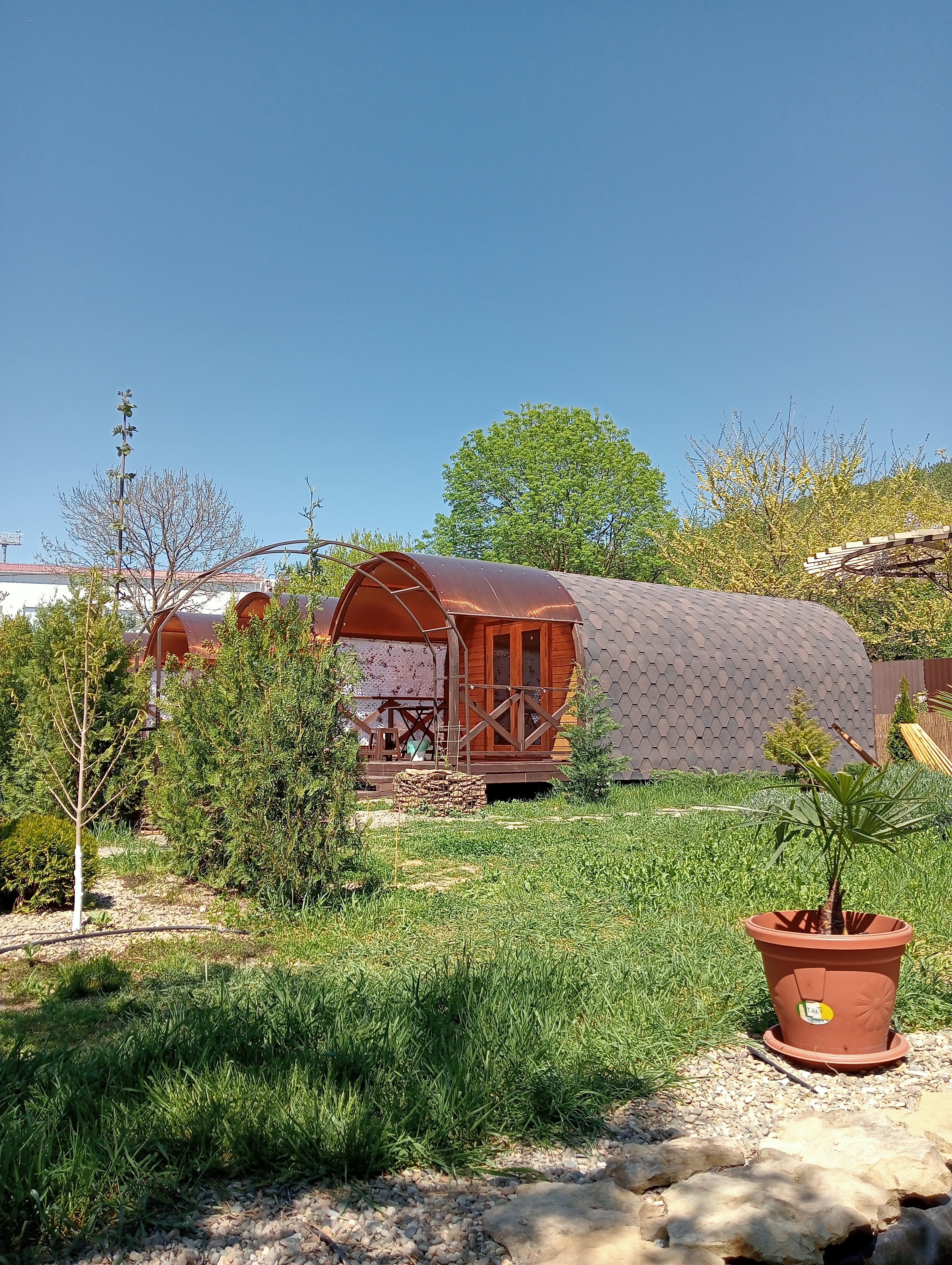 Фото Надежда