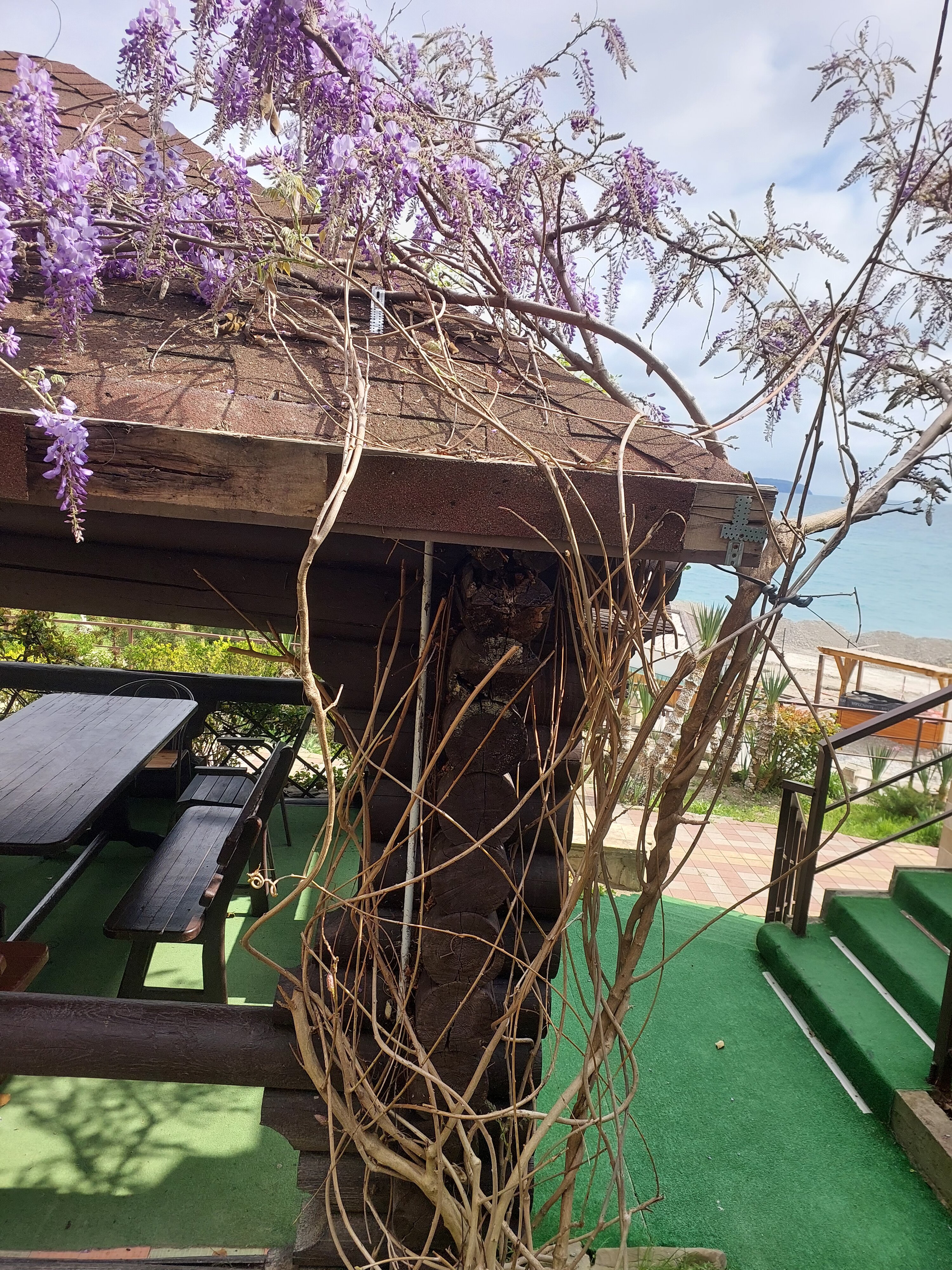 Фото Морской клуб