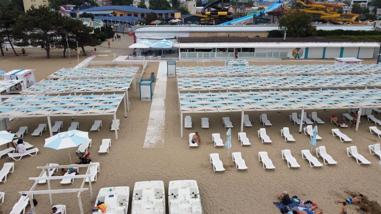 Фото Альбатрос