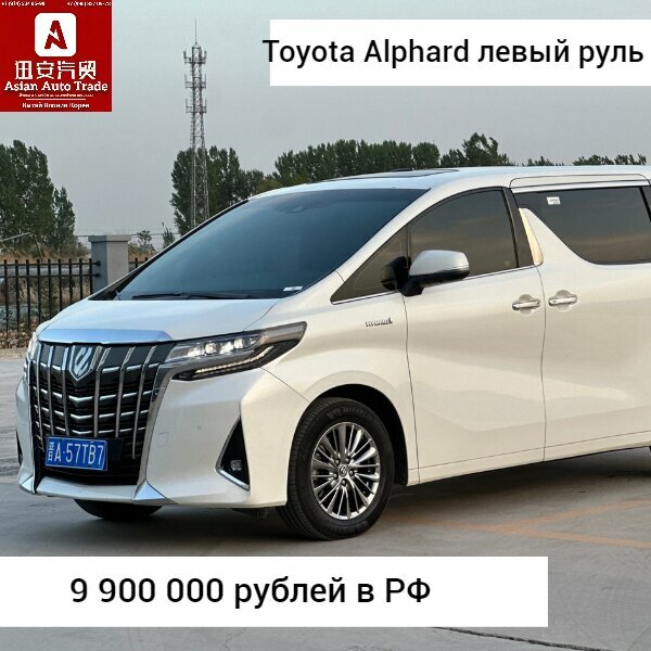 Автоаукцион AsianAutoTrade, Владивосток, фото