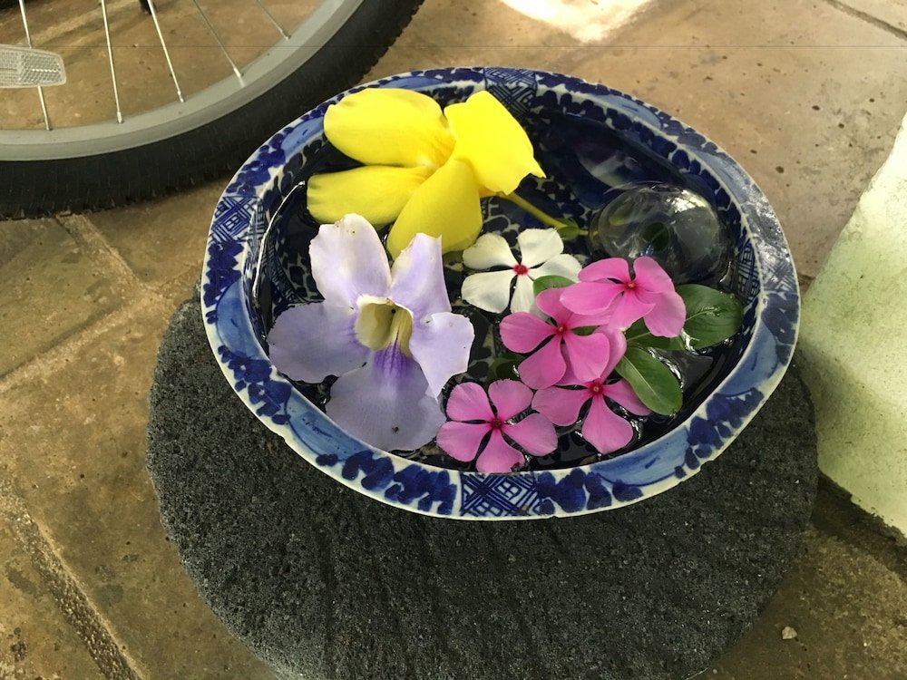 Фото Pension Iriomote